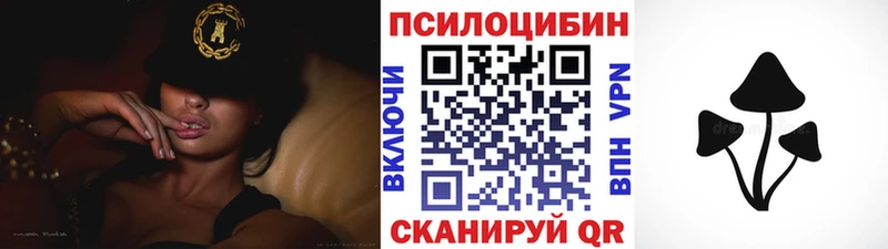 где продают   Нефтегорск  Псилоцибиновые грибы Cubensis 